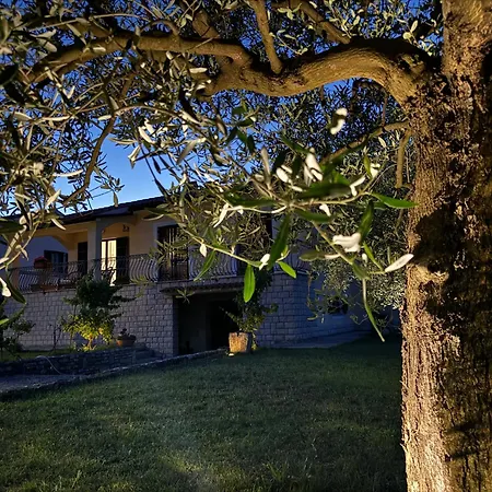Olea Apartment