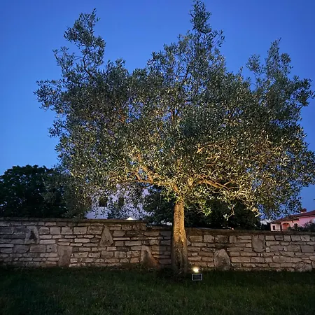 Apartment Olea *