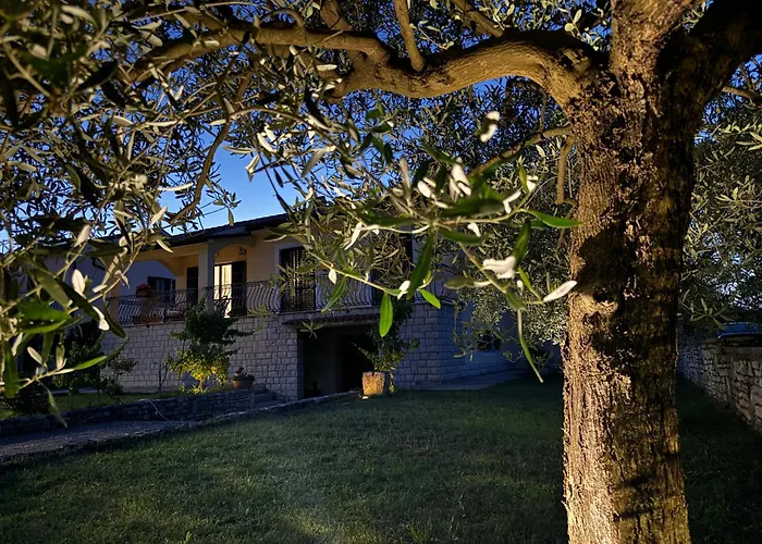 Olea Appartement
